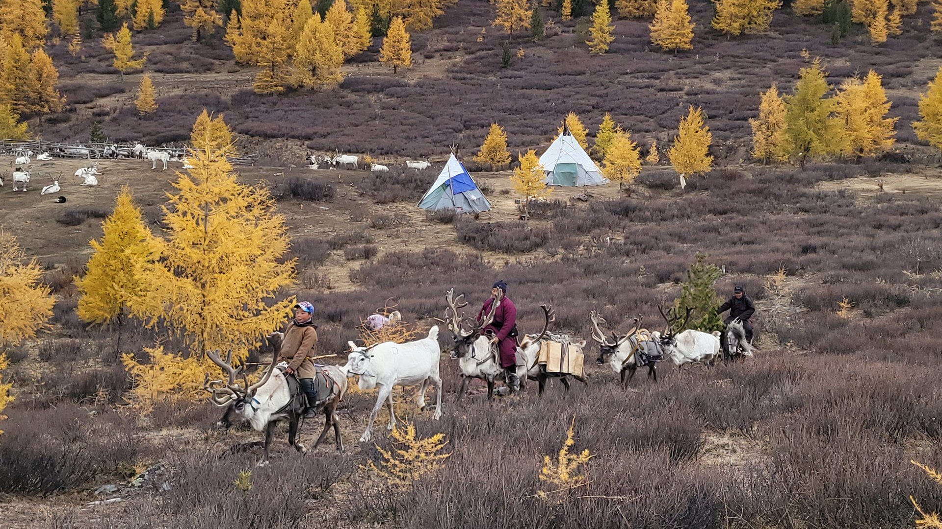 Eagle Hunters