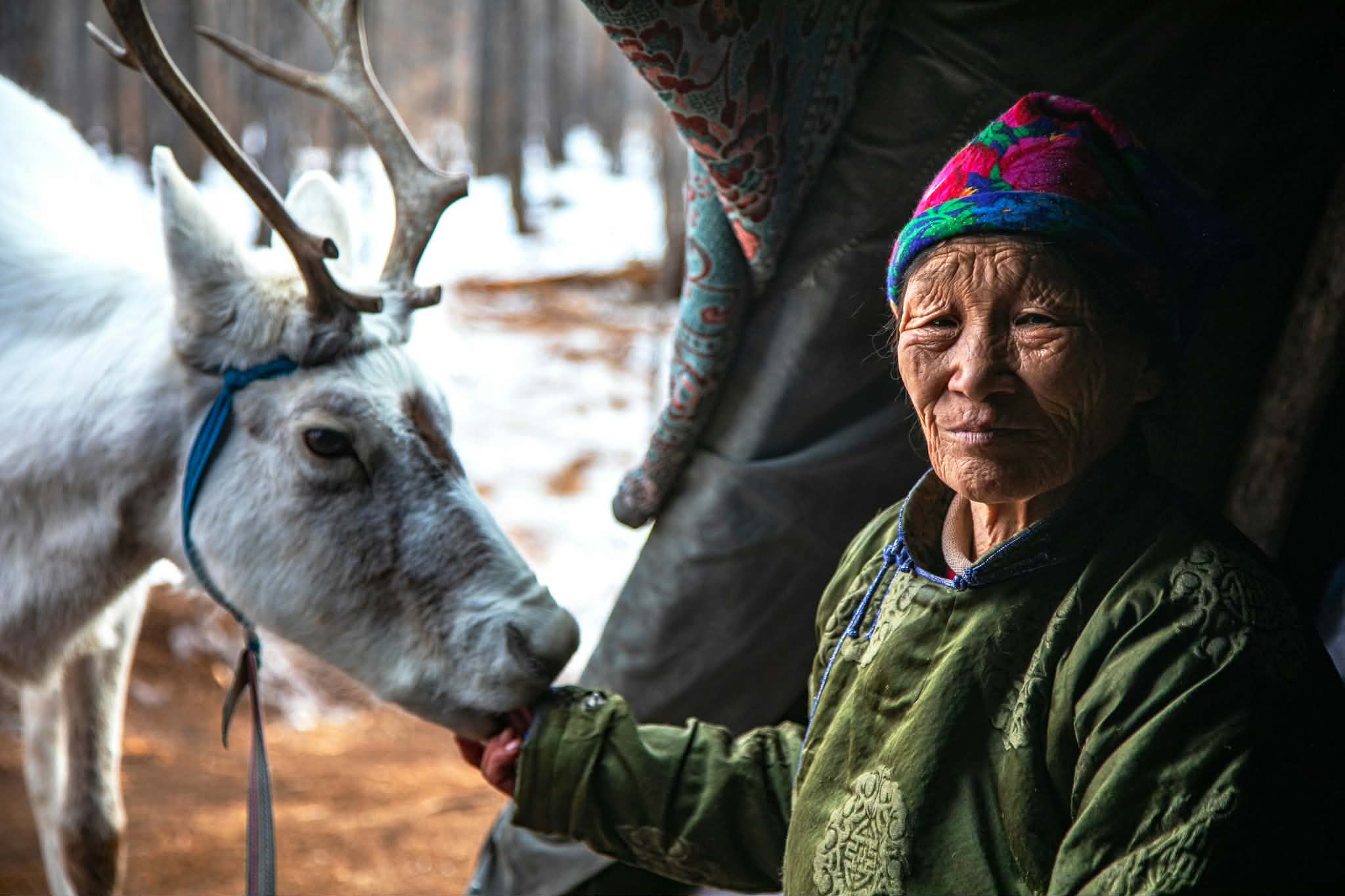 Tsaatan Lady by Jami Tarris