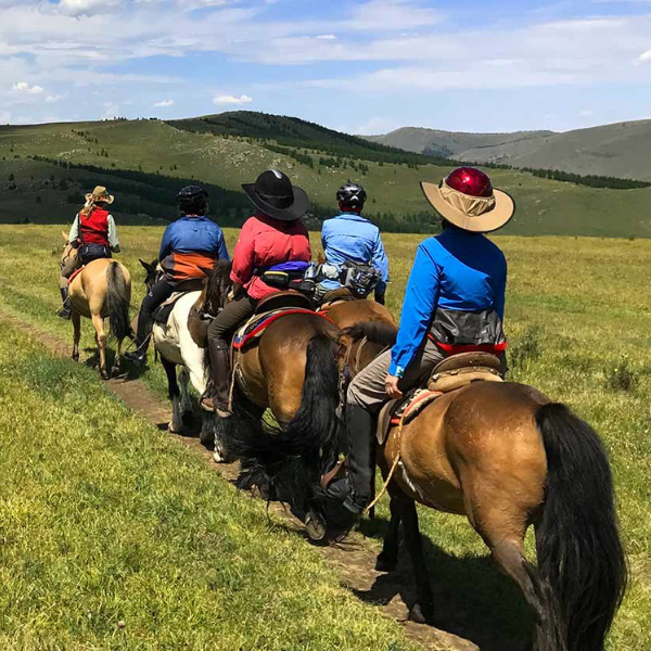 Horse Riding Experience