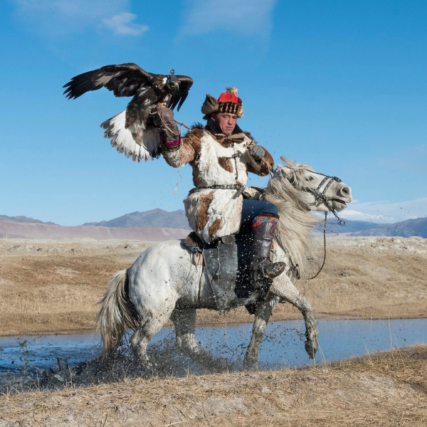 Eagle Photo Experience