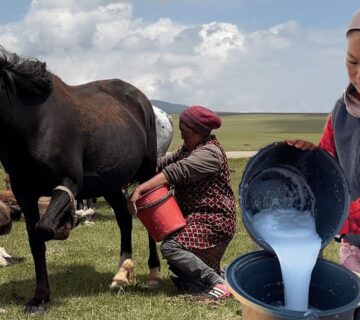 Maxresdefault 360x320